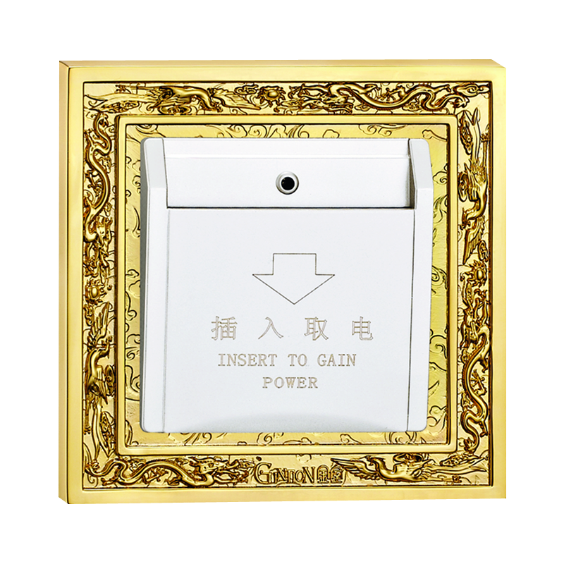 Switch Socket Panel