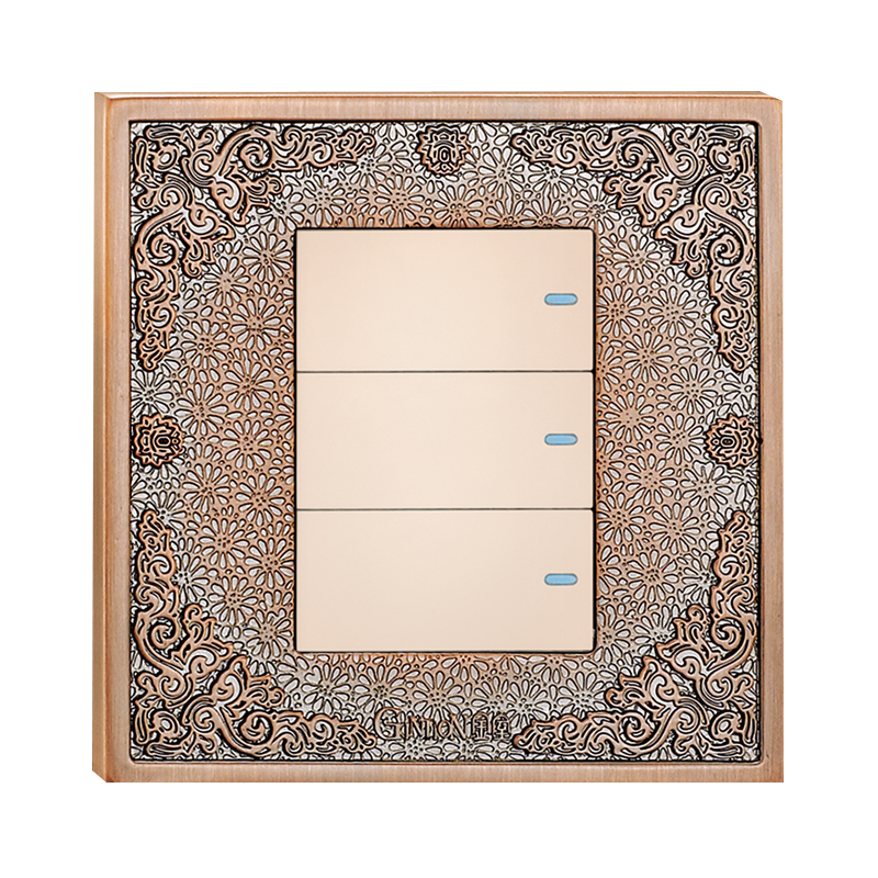 Switch Socket Panel