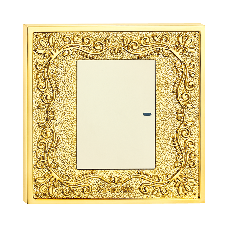 Switch Socket Panel